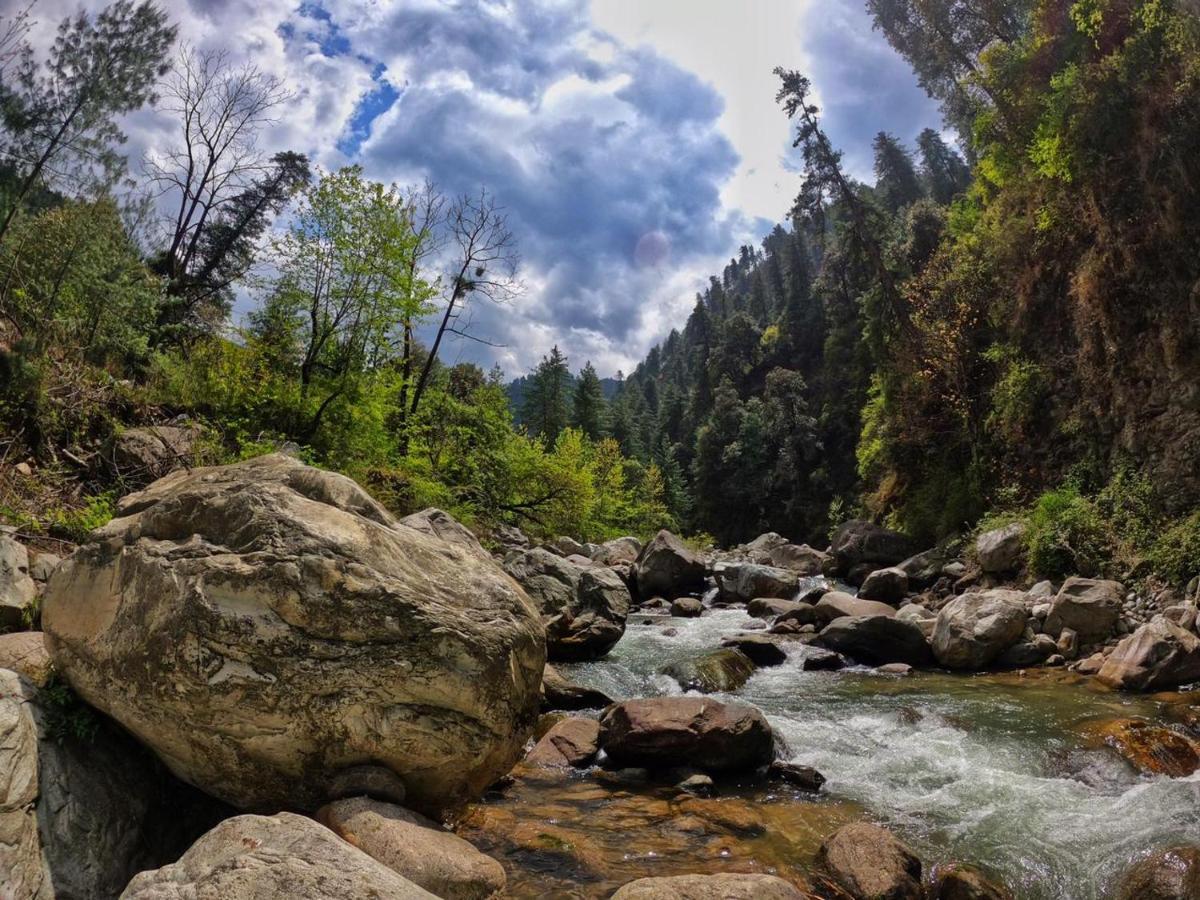 Tirthan Anglers' Retreat Banjār Zewnętrze zdjęcie