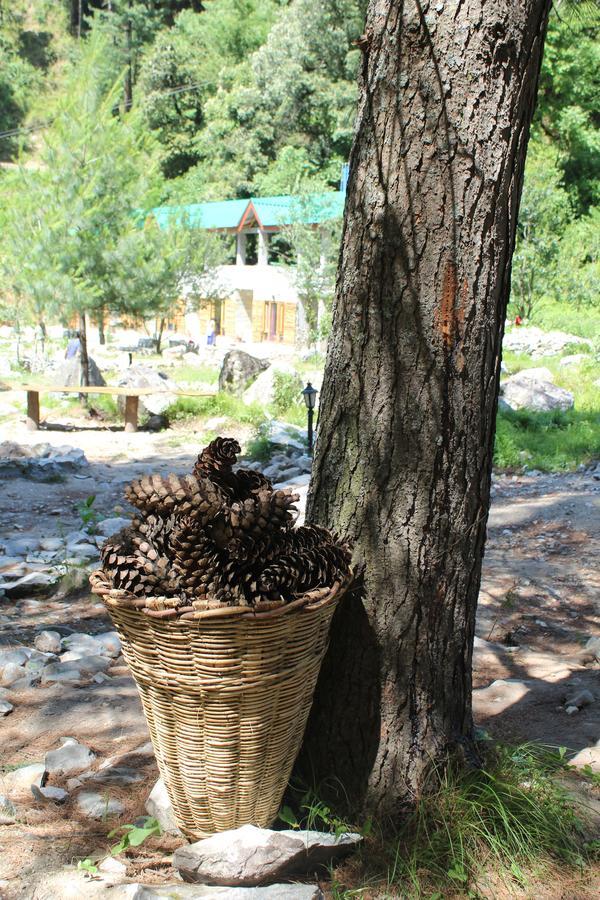 Tirthan Anglers' Retreat Banjār Zewnętrze zdjęcie